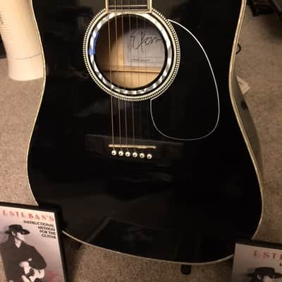 Esteban American Legacy Limited Edition Black & Complete Guitar Package (CD, DVD, Poster & Chord BK) image 1
