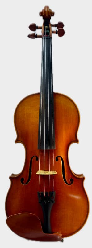 DZ Strad Model 609 4/4 size image 1