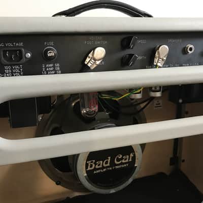 Bad Cat Cub II Custom Shop 2007 Grey/White image 5