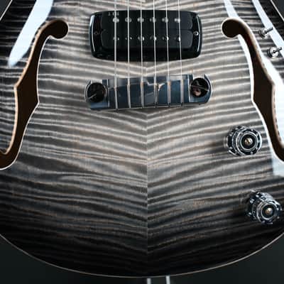 PRS Private Stock 30th Anniversary "Birds of a Feather" Hollowbody I #179 image 5