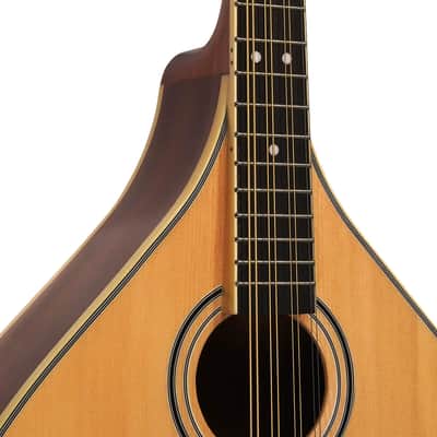 Gold Tone OM-800+/L Arched Solid Spruce Octave&Mahogany Neck Mandolin w/Hard Case For Lefty Players image 7