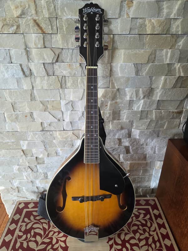 Washburn MIK newer image 1