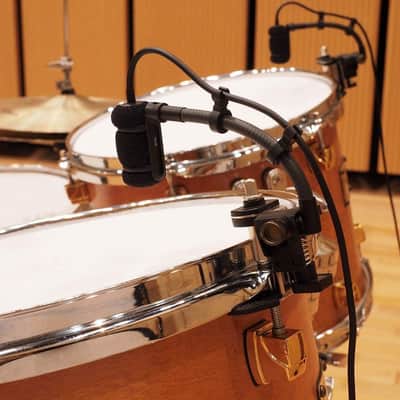 Audio-Technica Cardioid Condenser Microphone Cardioid Condenser Instrument Microphone (ATM350D) image 2