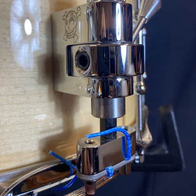 David Frangioni Collection, Bone - 6.5x14" Carbcutter 4-Ply Carbon Fiber and Maple Shell Snare Drum 2020s image 10