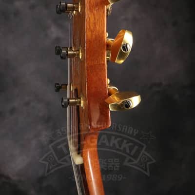 Paul Reed Smith Custom 24 Artist Package image 11