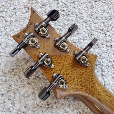 PRS McCarty 594 Hollowbody II Wood Library 2020 image 18
