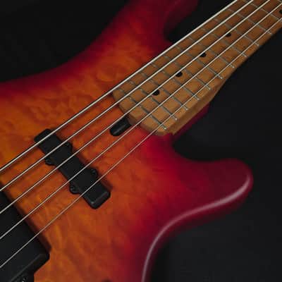 Lakland Skyline 55-02 Deluxe Satin Cherry Burst 5-String Bass image 8