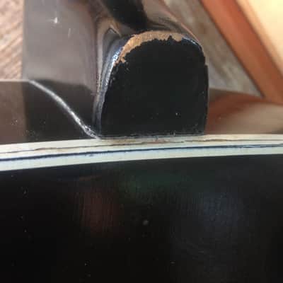 Silvertone 658 Archtop Acoustic 1966 Back And White image 11