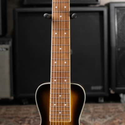 Gold Tone LS-8 8-string Lap Steel Guitar - High Gloss Tobacco Sunburst image 4