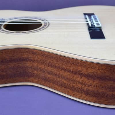 Bedell Performance Series OHN-18E-G Ac/El Nylon Parlor Guitar-GigBag- Rare Model image 4