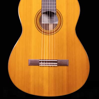 Yamaha CG182C Classical Acoustic Guitar image 1