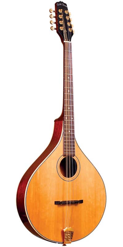 Gold Tone OM-800+ Octave Mandolin Left-Handed w/case image 1