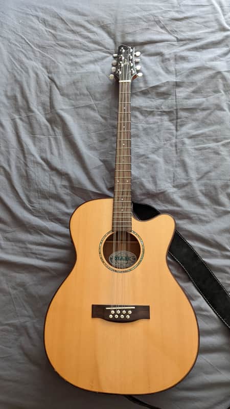 Ozark Guitar Bouzouki Spruce Top image 1