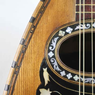 Giuseppe Indelicato Contarino Neapolitan Mandolin - c. 1910 - Made in Catania, Italy image 19