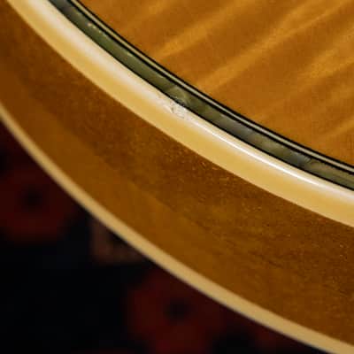 1978 Greco EGC Order Made, Les Paul Custom, Semi-Hollow, Chambered, Non-Catalog image 14