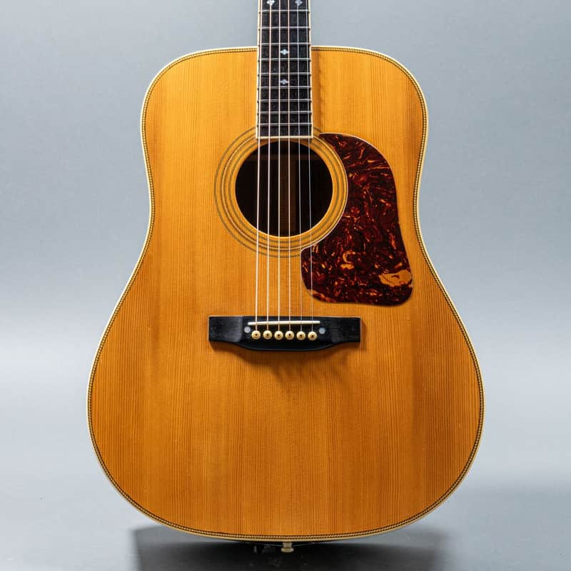 Gallagher G-70