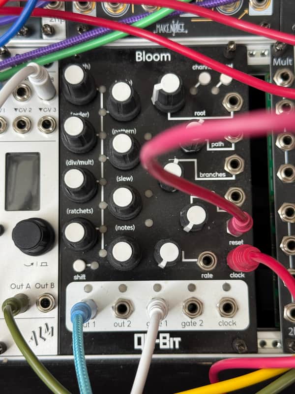 Qu-Bit Electronix Bloom 2019 - Present - Black image 1