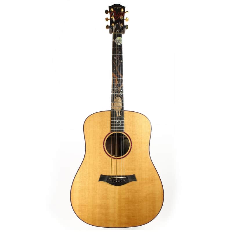 Taylor Cujo-10 Dreadnought image 1
