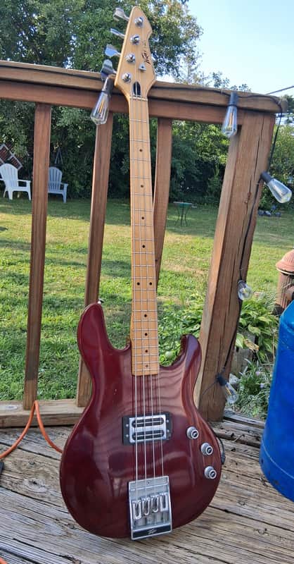 Peavey T-45