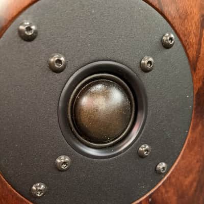 Pair of Vienna Acoustics Maestro Speakers image 7