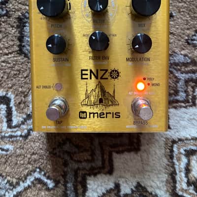 Meris Enzo 2018 - Gold image 1