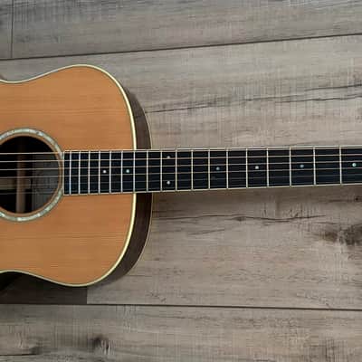 Taylor GS7 2006 - Natural image 1