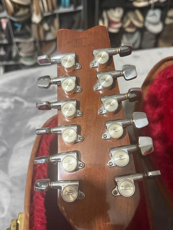 Washburn Woodstock 12 string 1983 | Reverb