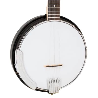 Gold Tone AC-5: Acoustic Composite 5-String Banjo w/Gig Bag image 2