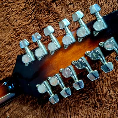 Extremely Rare Vintage 1980s Aria Elecord Model FET-65-12 12 String With Electronics And Arched Top And Bottom image 7