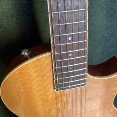 ESP LTD TL-6N 2021 Nylon Thinline Guitar image 3