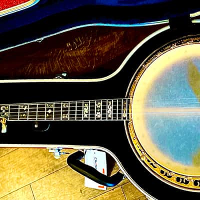 OME Juggernaut II 5 String Banjo 1983 image 12