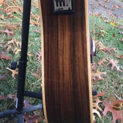 Zager 900CE 50th Anniversary image 12