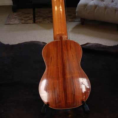 Darren Hippner 13-string Concert Classical 2011 image 5