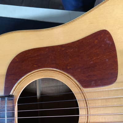 Très rare Washburn D-20 électro-acoustique fabriquée au Japon en 1984 par les ateliers Yamaki image 12