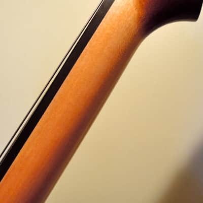 Alter Ego BASSO, hollow-body upright bass image 10