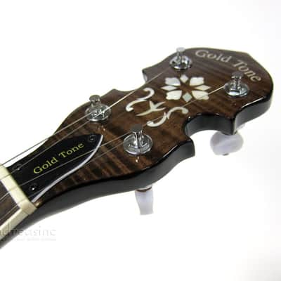 Gold Tone Professional Special Plectrum Banjo w/ Case image 4