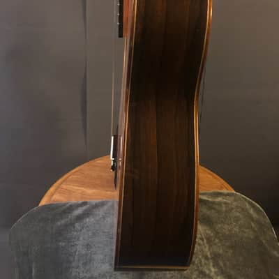 Kolya Panhuyzen Classical Guitar 2012 Cedar/Ziricote image 17
