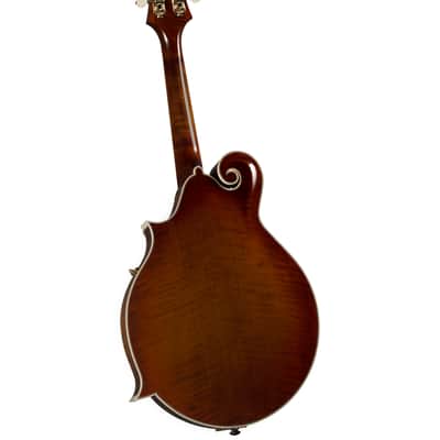 Kentucky KM-858 Artist F-model Mandolin – Gold Top image 2