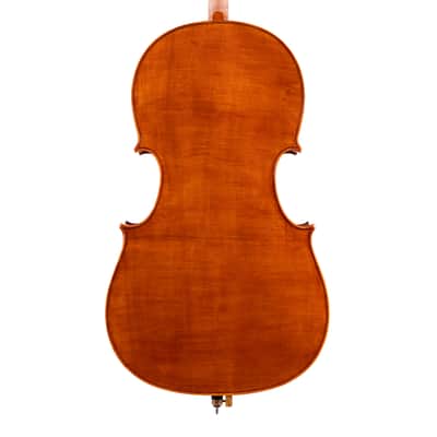 Testore Cello 4/4 from One Piece Back – Hand-Made in Romania 2025 #100 image 2