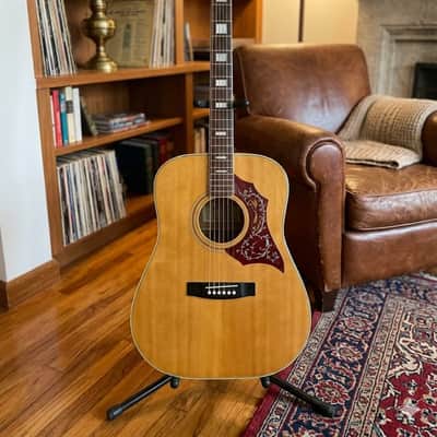 Roje acoustic guitars