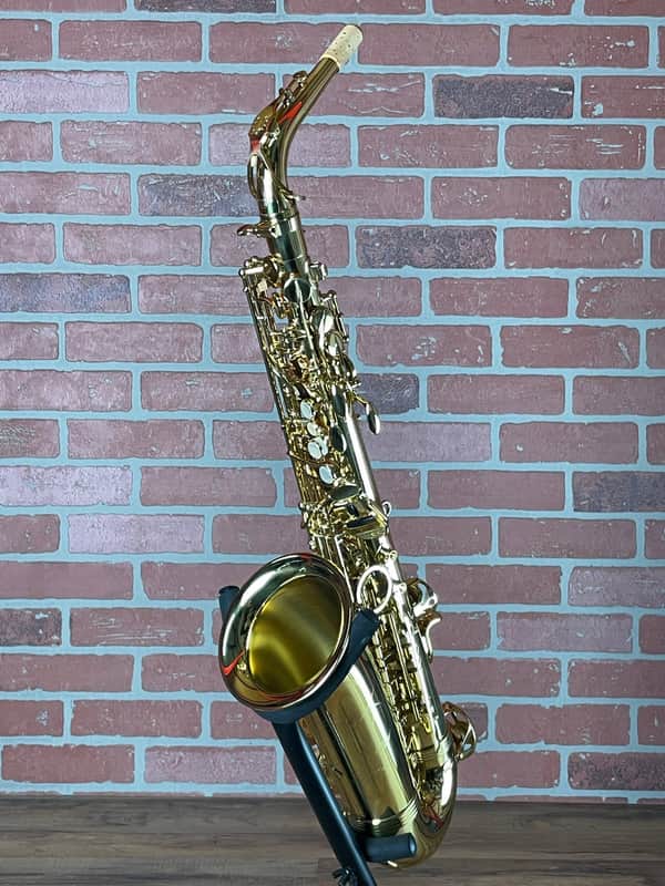 Yanagisawa A-WO1 Professional Alto Saxophone - Gold Lacquer image 1