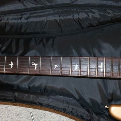 2019 USA PRS Silver Sky - Golden Mesa - No Tariffs image 4