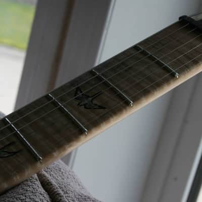 PRS Custom 24 Experience 2013 Swamp Ash 2013 Natural image 6