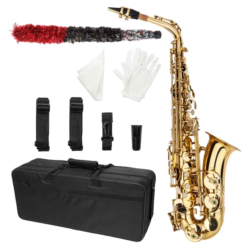 Eb Alto Saxophone Outfit Gold Lacquered Brass w/ Hard Case, Mouthpiece, Reed & Gloves image 1