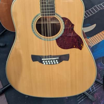 Crafter D8-12N Acoustic Electric 12-String Guitar image 1