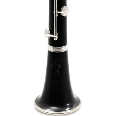 Buffet Crampon R13 Professional Bb Clarinet in Grenadilla SN F499157 image 5