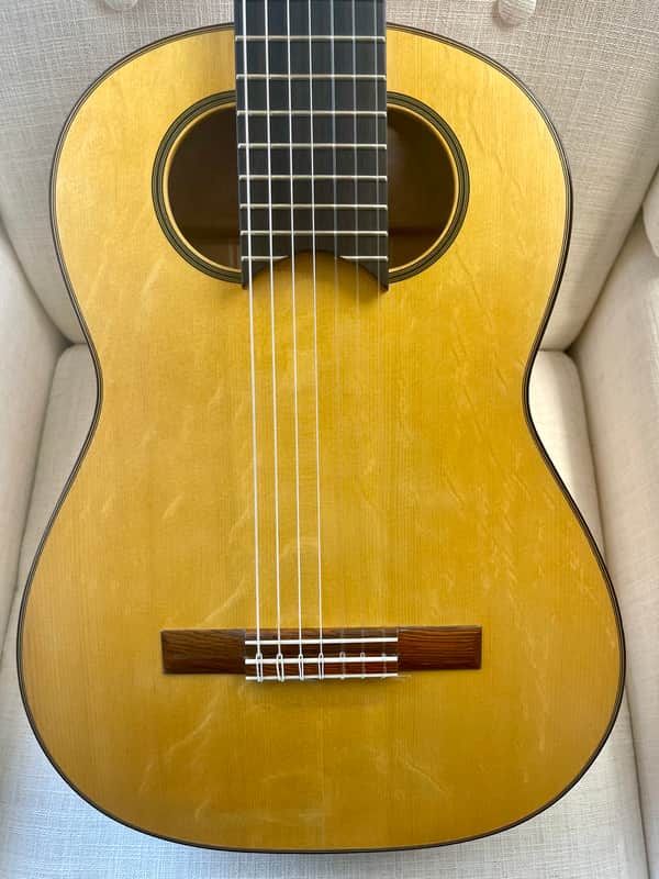 Darren Hippner Complexio Custom 7 String Classical Spruce and Maple w/case