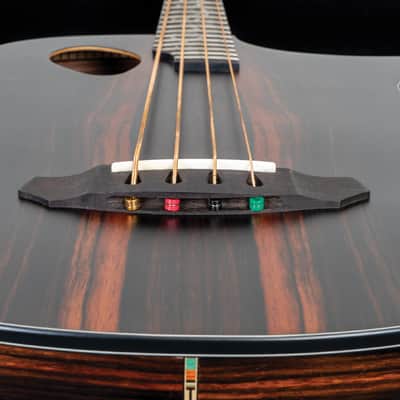 Michael Kelly Dragonfly 4 Port Electric Bass w/ Java Ebony Finish MKD4SJESFS image 3