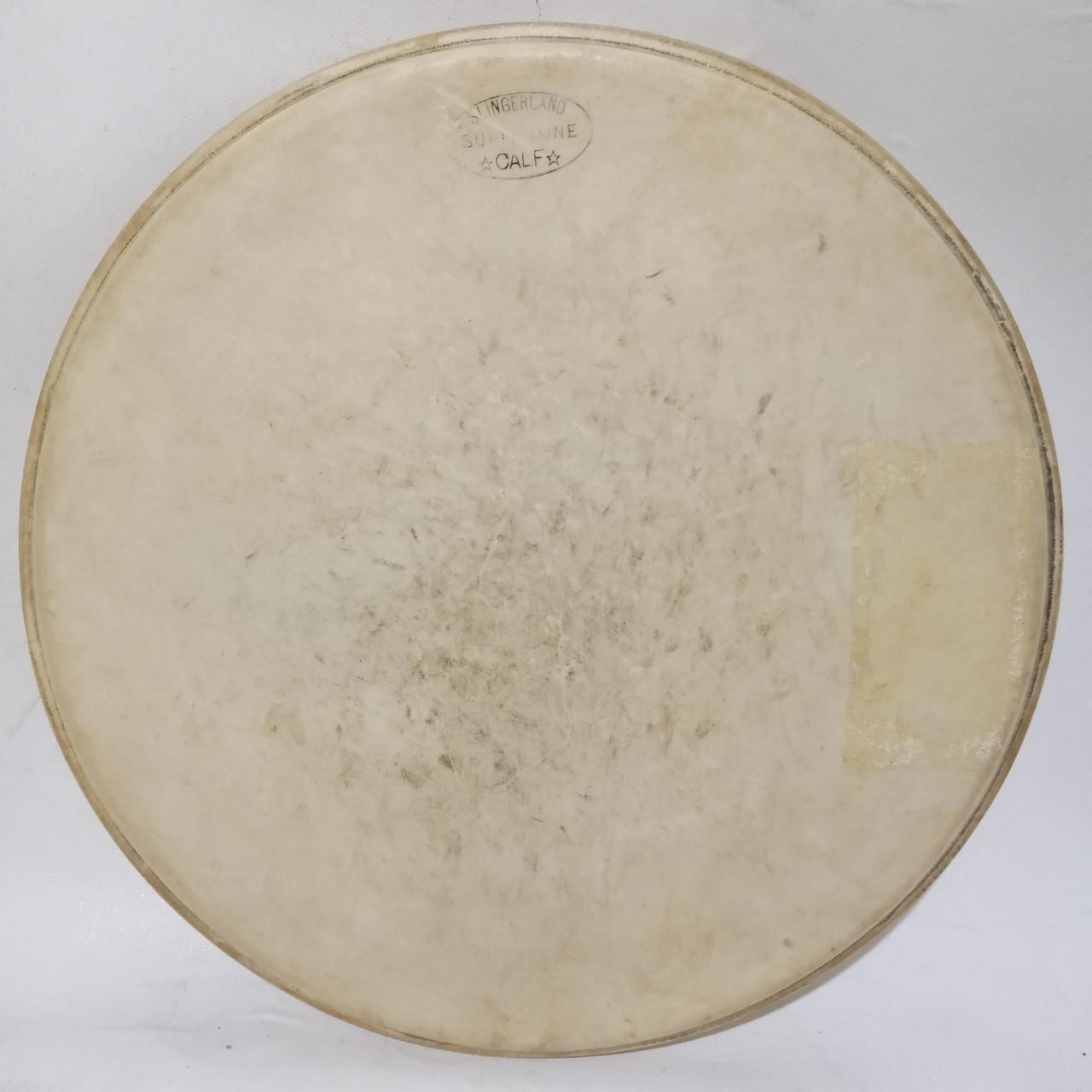 Slingerland 12"Supertone Calf Tom Tom Drum Head Batter/Resonant Vintage 30s Skin — main photograph