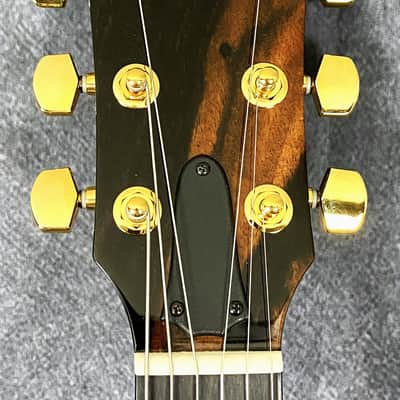 Taylor 2023 T5z Custom Koa Shaded Edgeburst Acoustic-Electric image 10